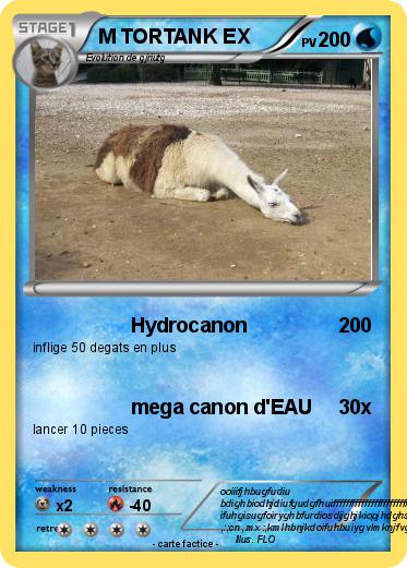 Pokemon M TORTANK EX