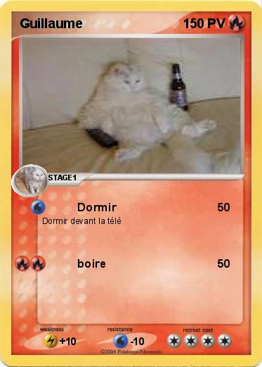 Pokemon Guillaume