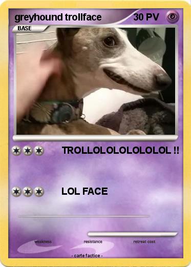 Pokemon greyhound trollface
