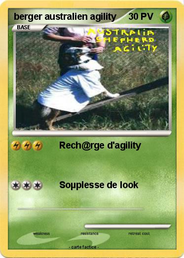 Pokemon berger australien agility