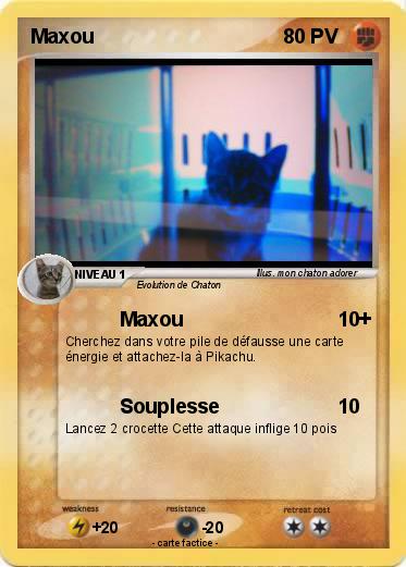Pokemon Maxou