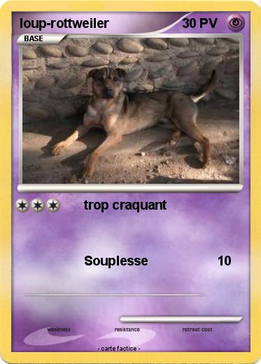 Pokemon loup-rottweiler