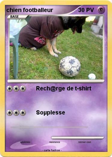 Pokemon chien footballeur