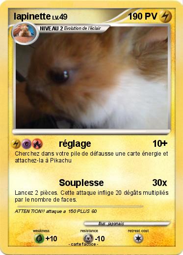 Pokemon lapinette