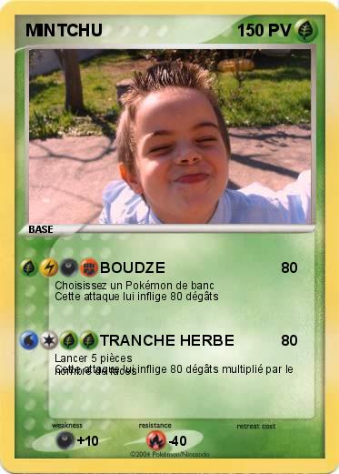 Pokemon MINTCHU