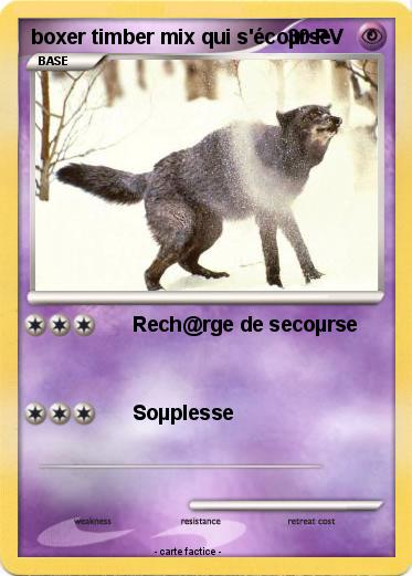 Pokemon boxer timber mix qui s'écoµrse