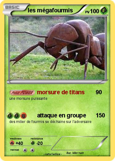 Pokemon les mégafourmis