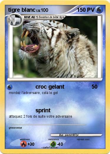 Pokemon tigre blanc