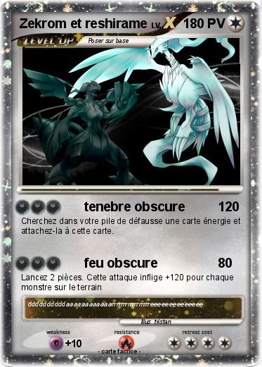 Pokemon Zekrom et reshirame