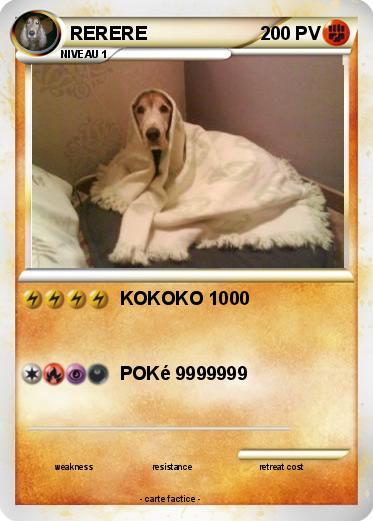 Pokemon RERERE