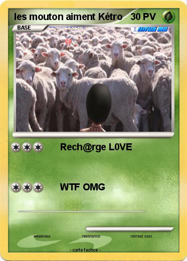 Pokemon les mouton aiment Kétro