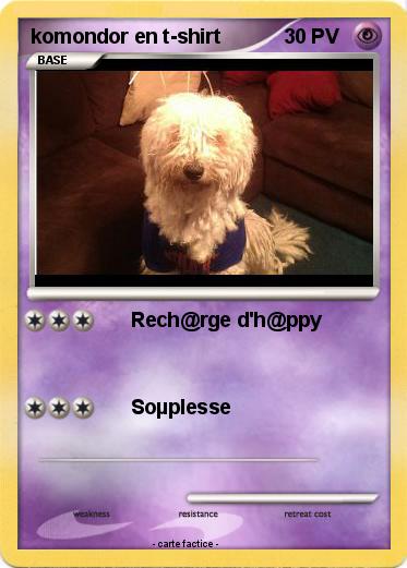 Pokemon komondor en t-shirt