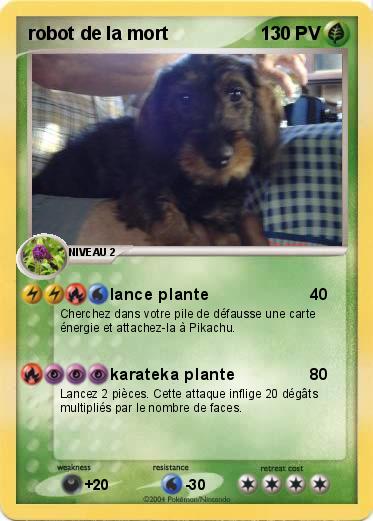 Pokemon robot de la mort