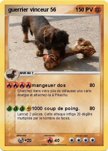 Pokemon guerrier vinceur 56