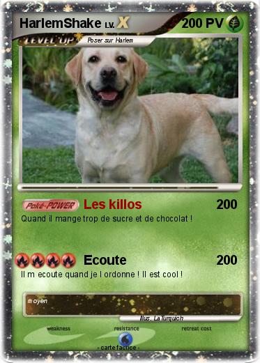 Pokemon HarlemShake