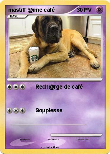 Pokemon mastiff @ime café