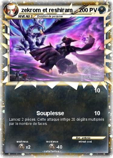 Pokemon zekrom et reshiram