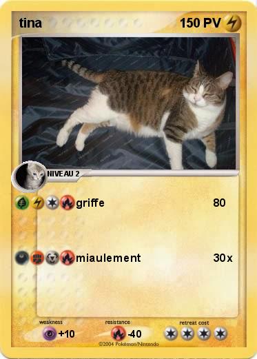 Pokemon tina