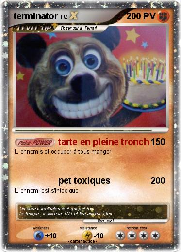 Pokemon terminator