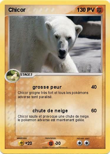 Pokemon Chicor