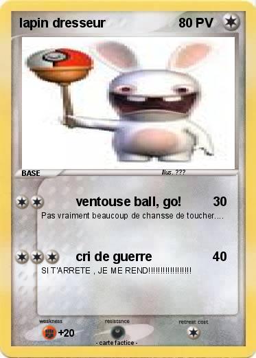Pokemon lapin dresseur