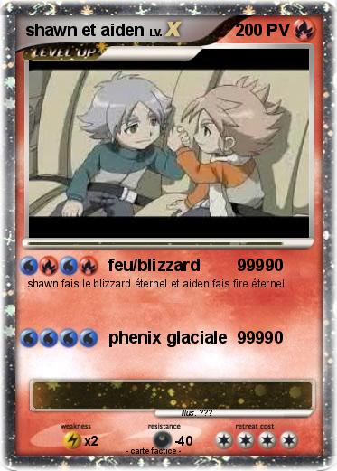 Pokemon shawn et aiden