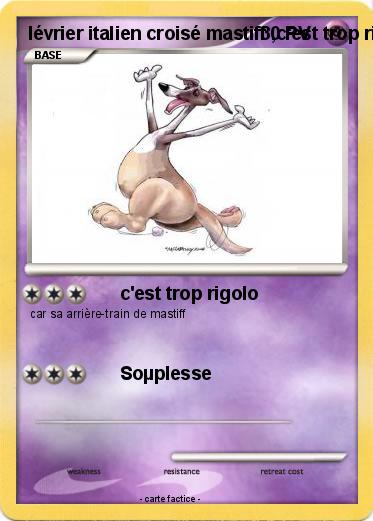Pokemon lévrier italien croisé mastiff ,c'est trop rigolo