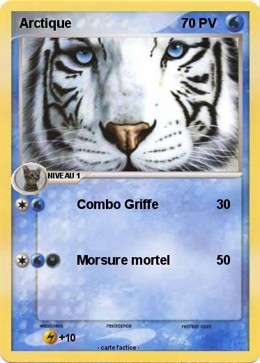 Pokemon Arctique