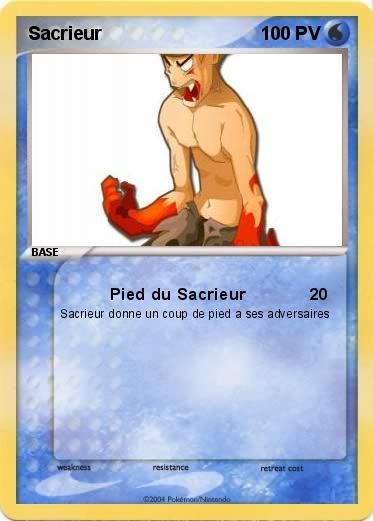 Pokemon Sacrieur