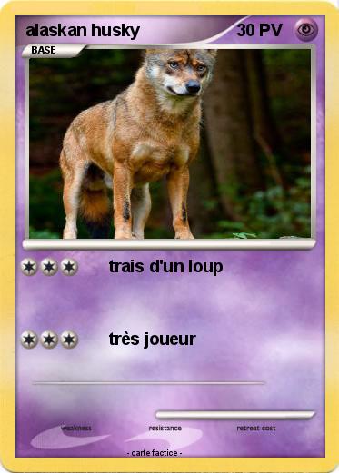 Pokemon alaskan husky