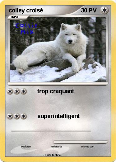 Pokemon colley croisé