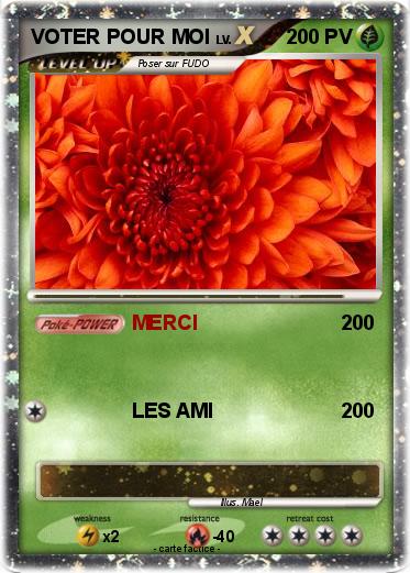 Pokemon VOTER POUR MOI