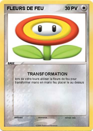 Pokemon FLEURS DE FEU