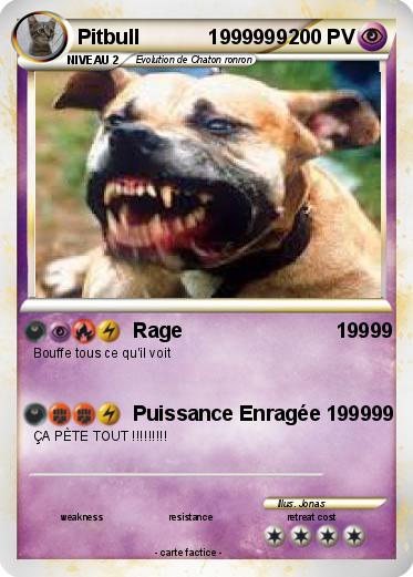 Pokemon Pitbull            1999999