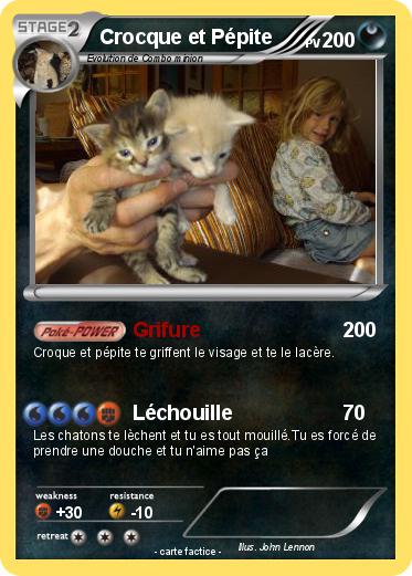 Pokemon Crocque et Pépite