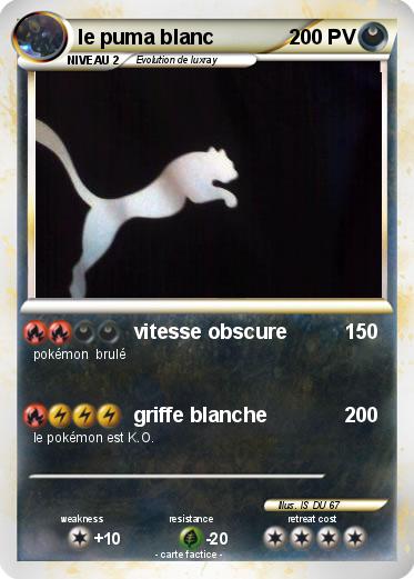 Pokemon le puma blanc