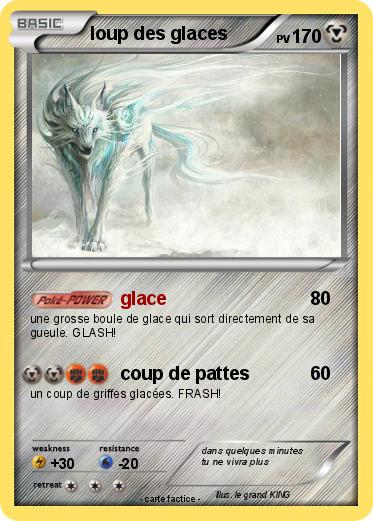 Pokemon loup des glaces