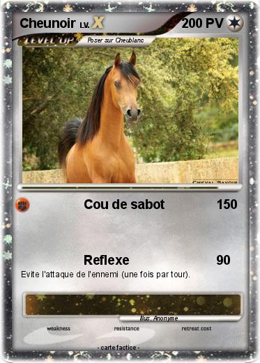 Pokemon Cheunoir