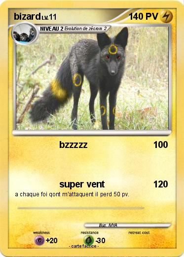 Pokemon bizard