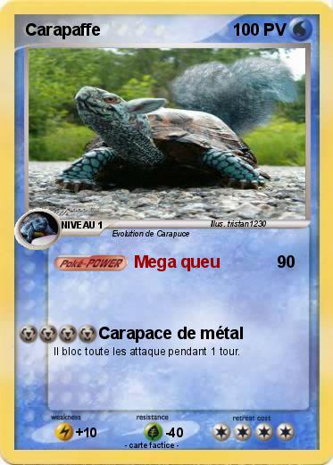 Pokemon Carapaffe