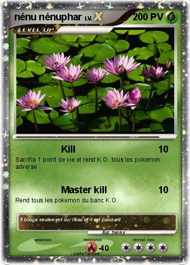 Pokemon nénu nénuphar