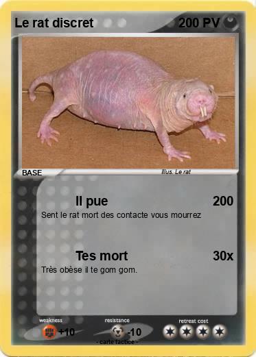 Pokemon Le rat discret