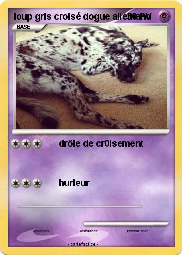 Pokemon loup gris croisé dogue allemand
