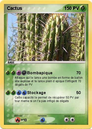 Pokemon Cactus