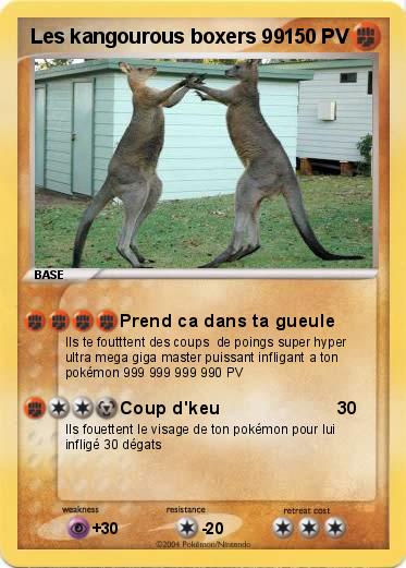 Pokemon Les kangourous boxers 99