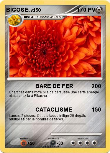 Pokemon BIGOSE