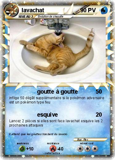 Pokemon lavachat