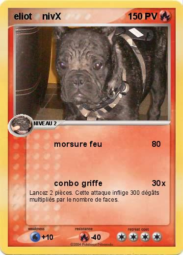 Pokemon eliot    nivX