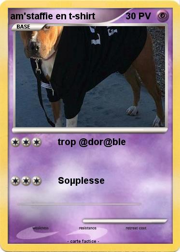 Pokemon am'staffie en t-shirt