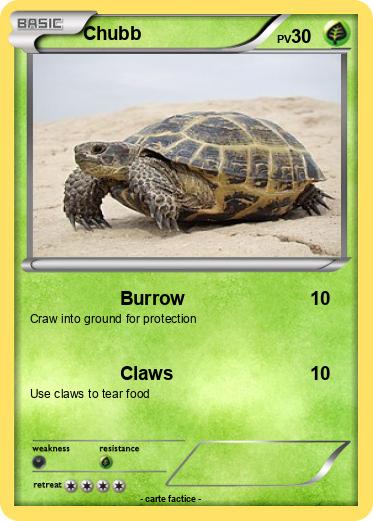 Pokemon Chubb